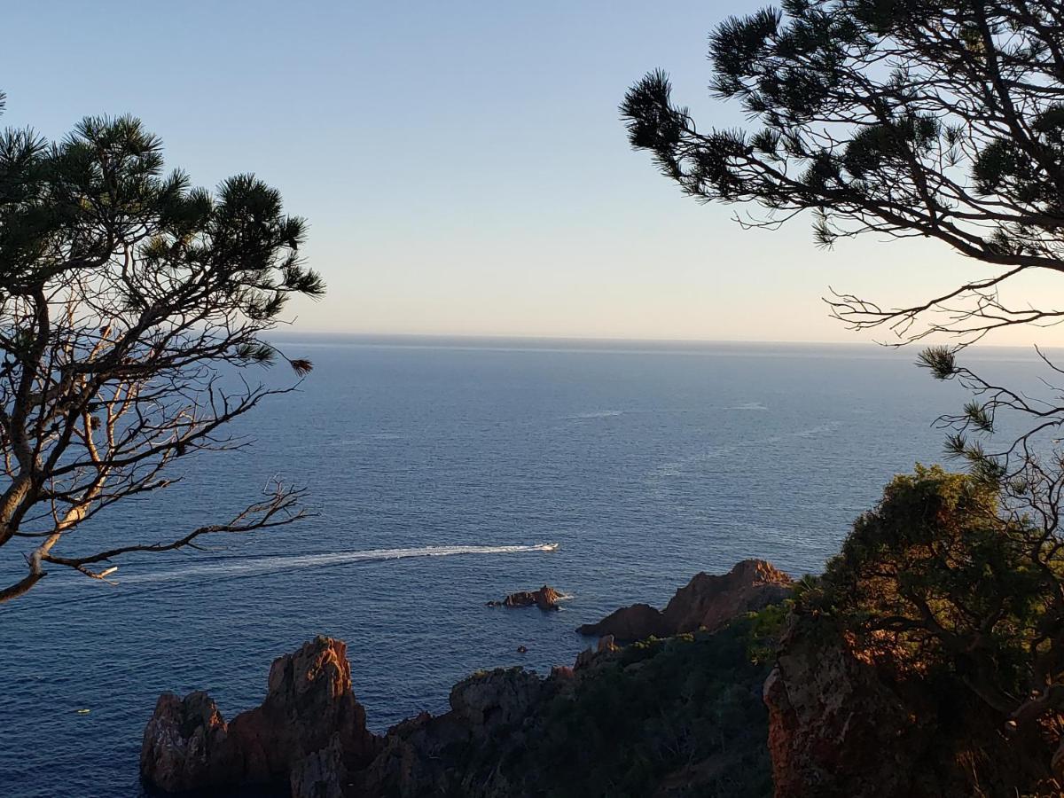Fréjus plage T2, piscine, parking, plages à 200m Esterno foto